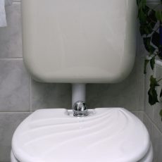 TOILETTE-NETT® 120K poliészter kivitel, kagyló mintás fedéllel