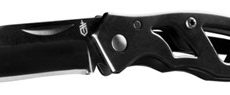 Gerber Paraframe Mini zsebkés tanto pengével
