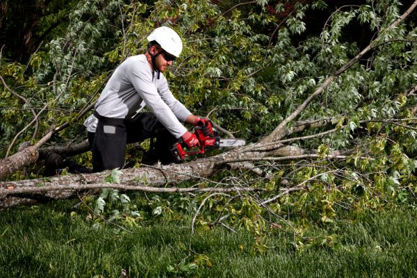 Milwaukee M18FHS20-0 ÁGVÁGÓ LÁNCFŰRÉSZ 20 CM - Image 4
