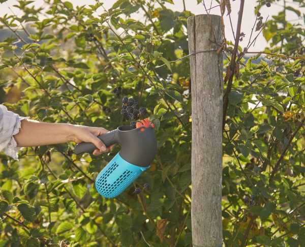 Gardena combisystem
Bogyósgyümölcs-szüretelő készlet Készlet erejéig!