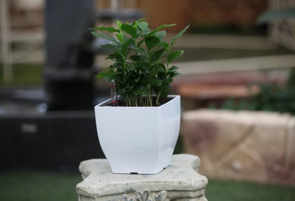 G21 Cube mini virágcserép zöld, 13 cm "külső burkolat - Image 2