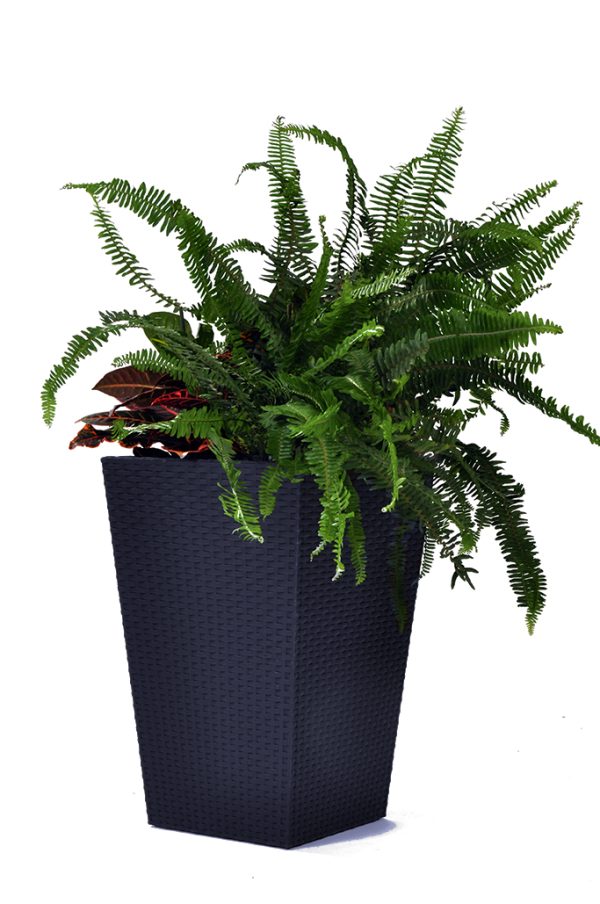 Keter Rattan kaspó S 23,6 l grafit