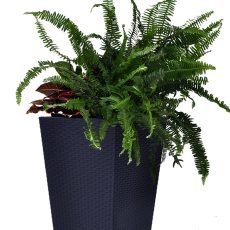 Keter Rattan kaspó M 55,4 l grafit