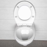 DORIS fali rimless WC - Doris - Image 5