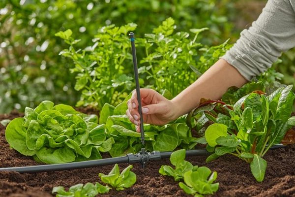 Gardena MD hosszabbítócső
permetezőfúvókákhoz - Image 2