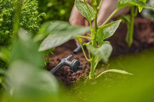 Gardena MD nyomáskiegyenlítős
sorcsepegtető 2 l/óra - Image 2