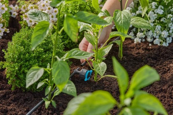 Gardena MD szabályozható sorcsepegtető, 
nyomáskiegyenlítős - Image 2