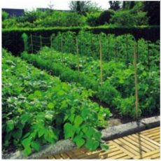 Növénytartó háló 1,2x10m 150x150 natúr