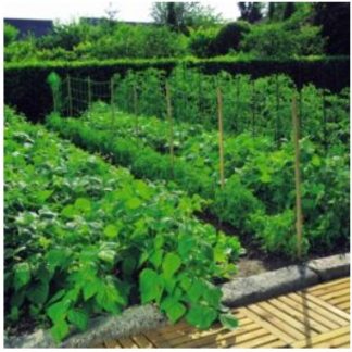 Növénytartó háló 1,2x10m 150x150 natúr