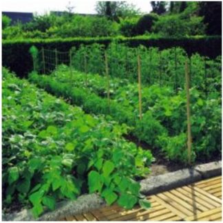 Növénytartó háló 1,2x20m 150x150 natúr