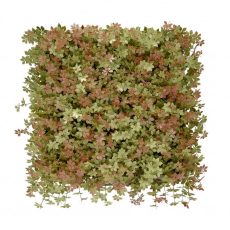 Jiaogulan műanyag zöldfal 50x50 cm