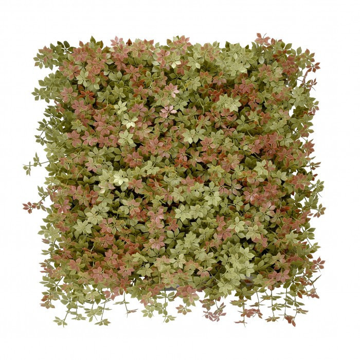 Jiaogulan műanyag zöldfal 50x50 cm