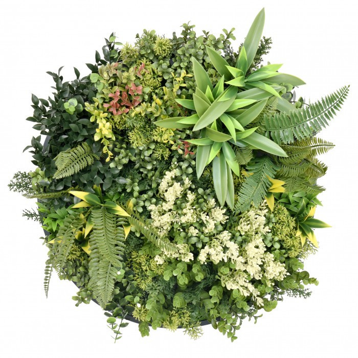 Harmonia I. műanyag zöldfal 50x50 cm