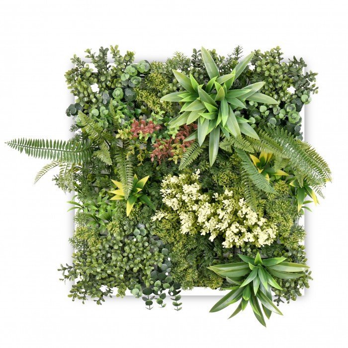 Harmonia III. műanyag zöldfal 63x63 cm