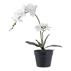 Orchidea műnövény 49 cm