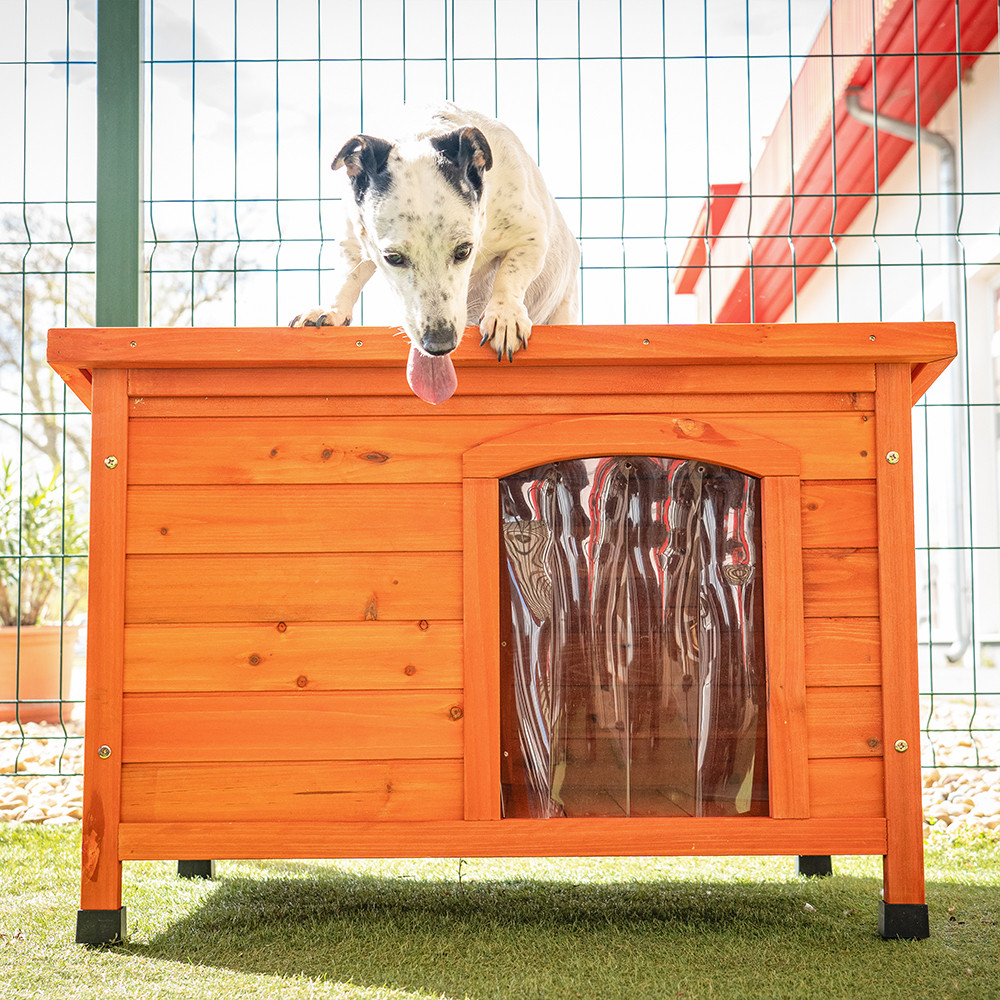 Smiley Basic kutyaház "M" - Image 3