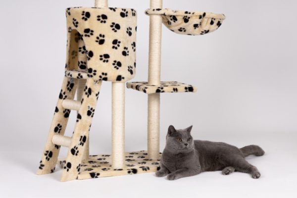 Macska kaparófa 138 cm bézs - Image 7