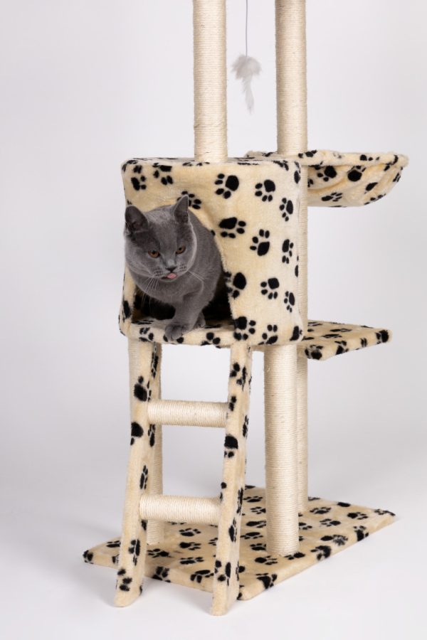 Macska kaparófa 138 cm bézs - Image 8