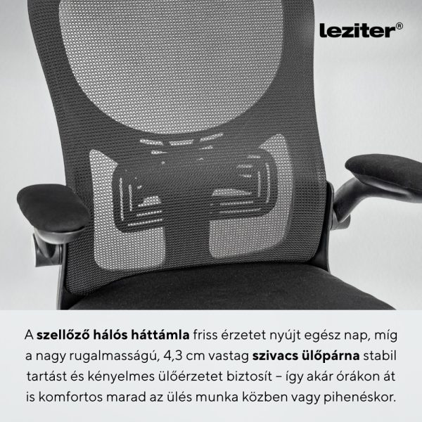 Flexo ergonomikus irodai forgószék deréktámasszal - Image 5