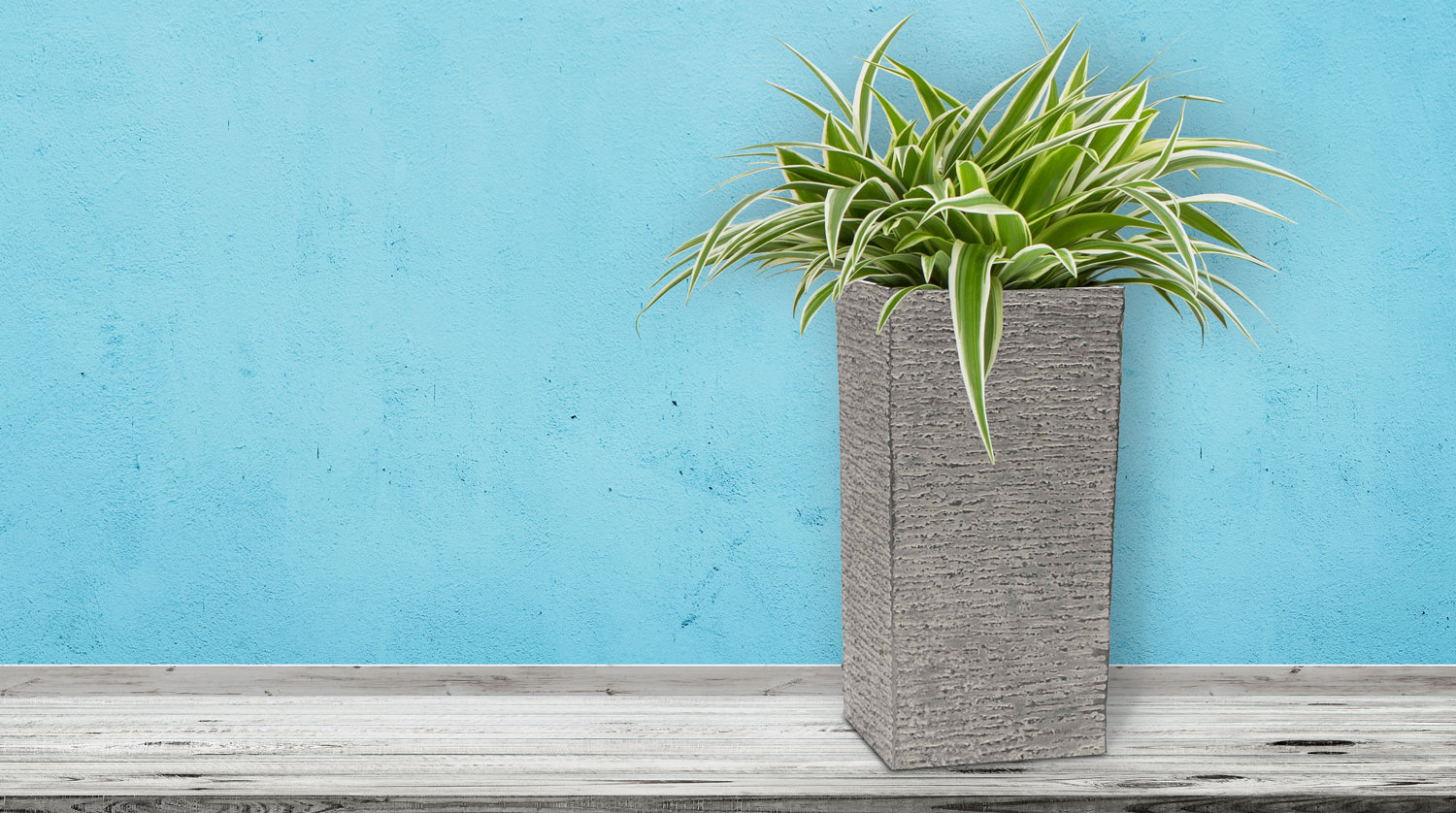 G21 Natur Tube virágcserép 35 x 70 x 35 - Image 3