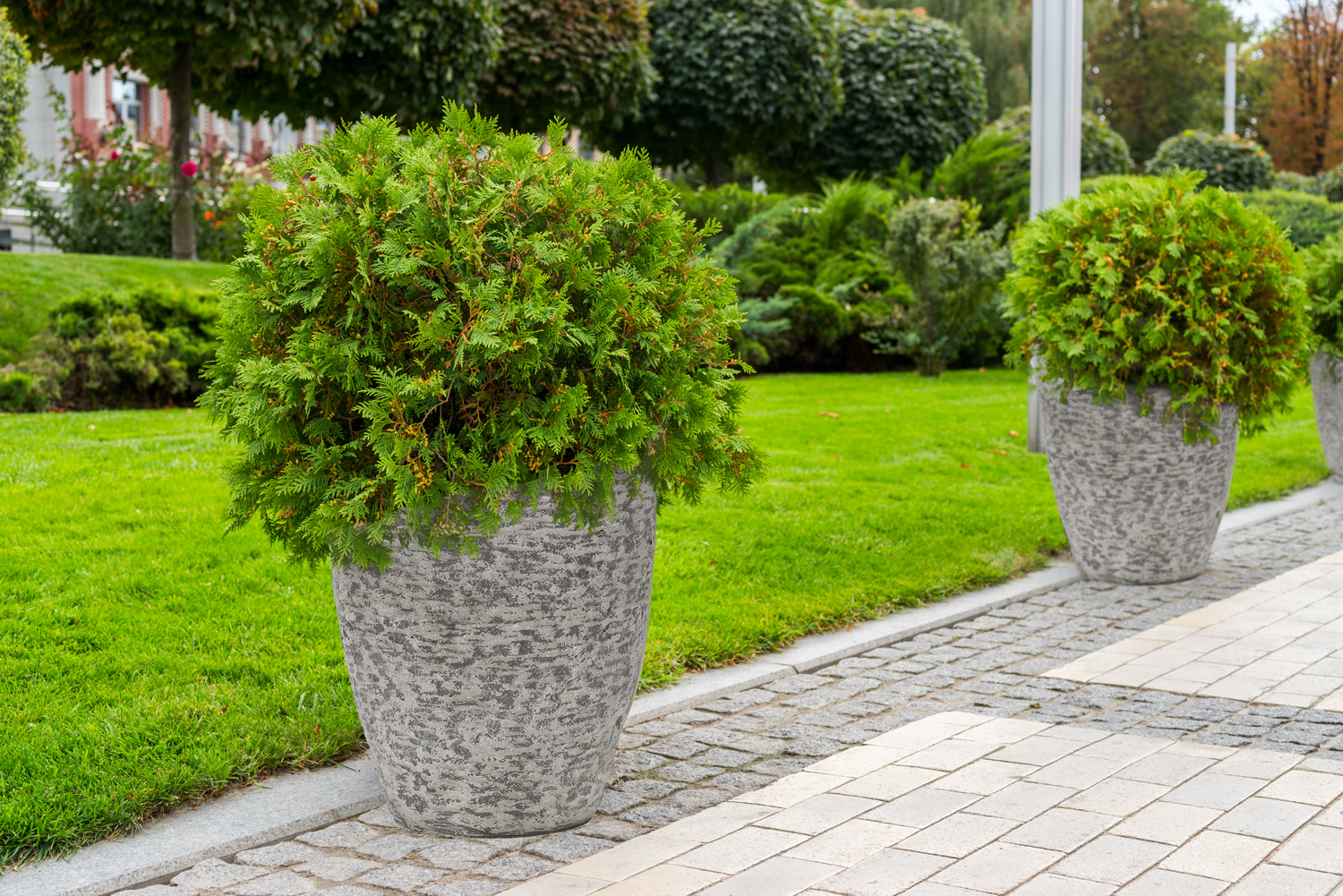 G21 Natur Plump virágcserép 36 x 50 x 36 - Image 3