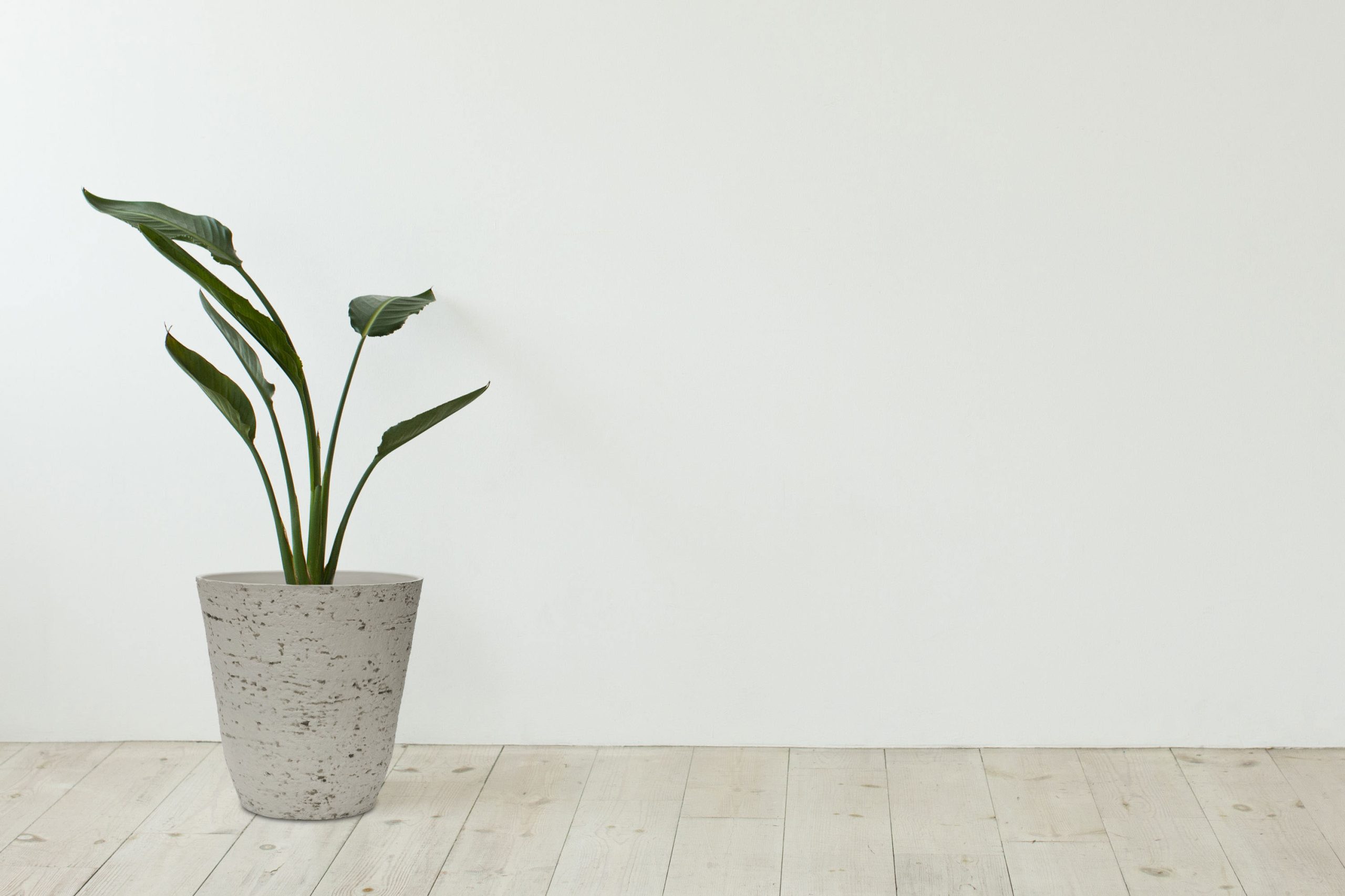 G21 Baltic Roll virágcserép 44 x 42 x 44 - Image 5