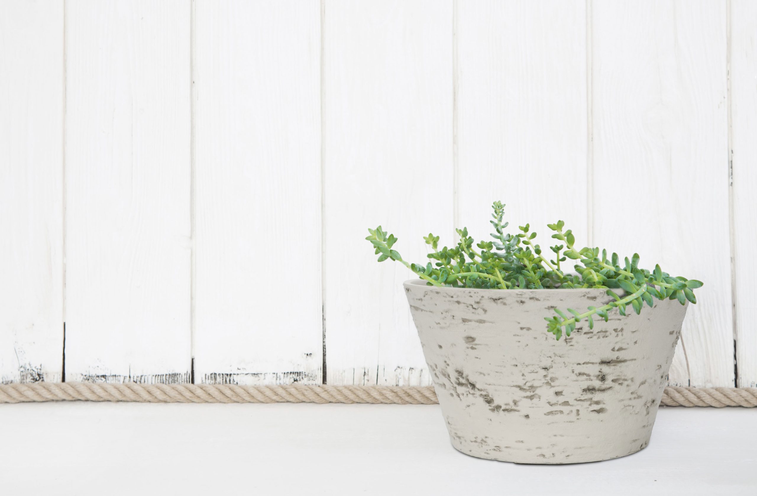 G21 Baltic Bowl virágcserép 47 x 27 x 47 - Image 5