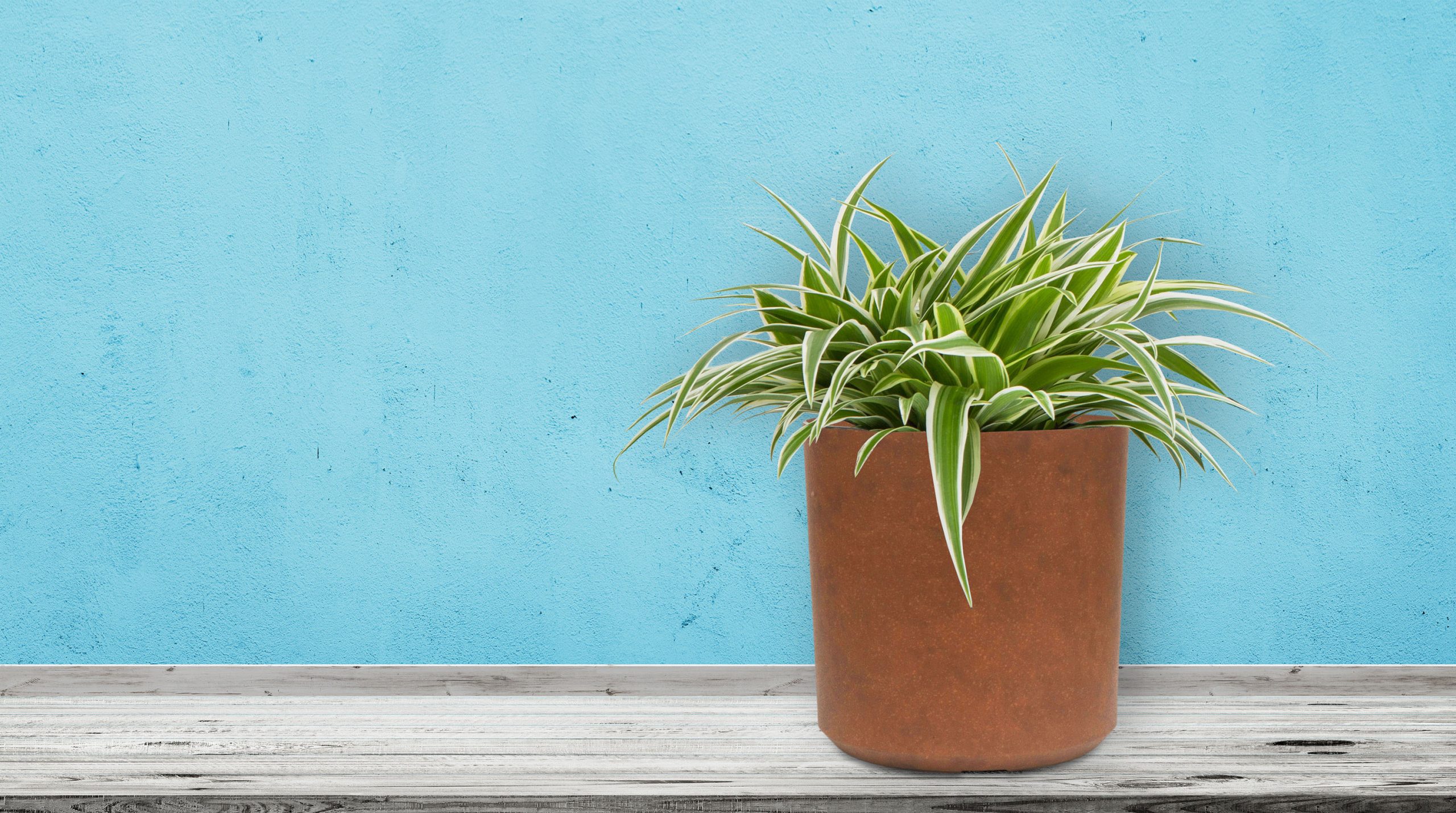 G21 Element Cork virágcserép 21 x 21 x 21 - Image 5