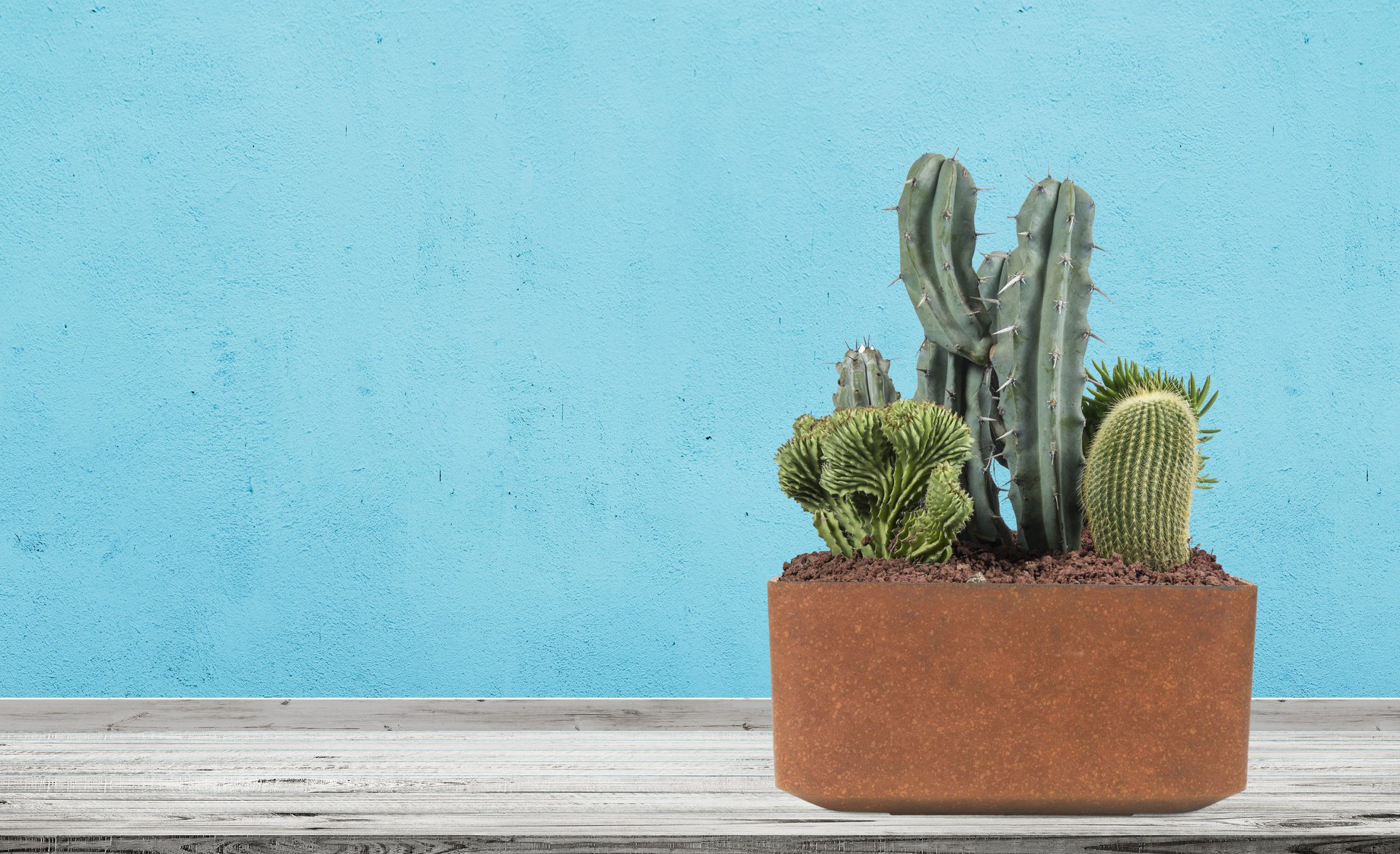 G21 Element Square virágcserép 50 x 25 x 50 - Image 5