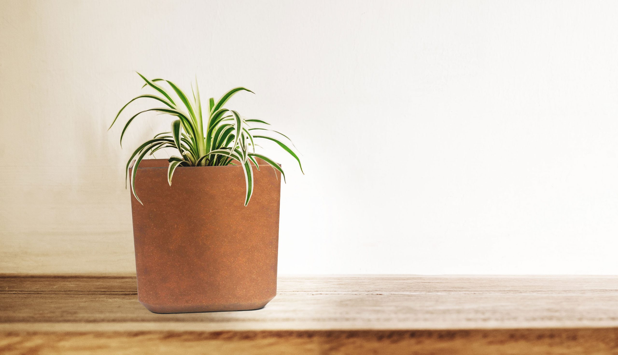 G21 Element Block virágcserép 43 x 43 x 43 - Image 5