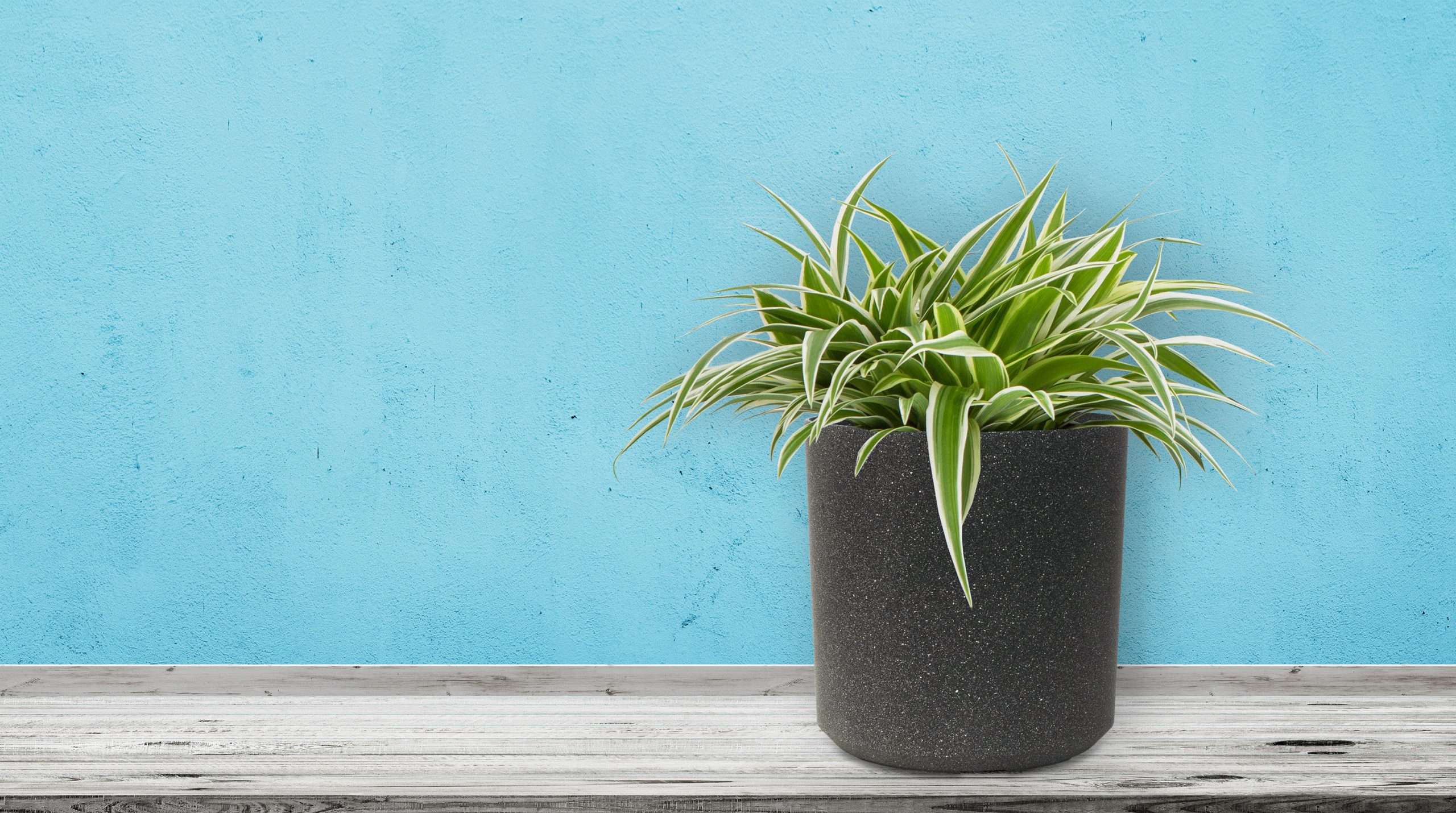 G21 Industrial Cork virágcserép 28 x 28 x 28 - Image 5