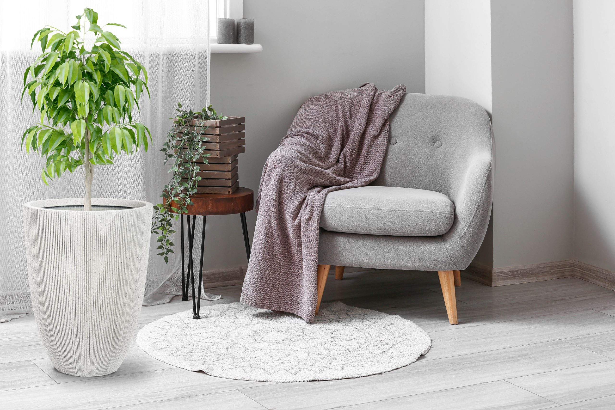 G21 Sand Cone virágcserép 37 x 37 x 48,5 - Image 7