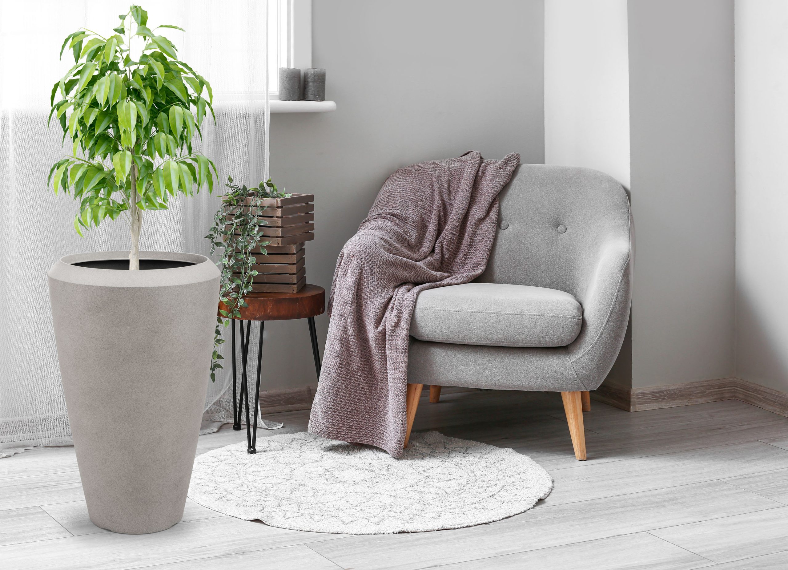 G21 Cement Oval virágcserép 55 x 55 x 86,3 - Image 6