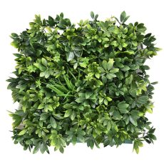 Arália műanyag zöldfal 50x50 cm