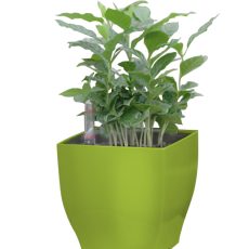 G21 Cube mini virágcserép zöld, 13 cm "külső burkolat