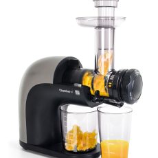 Gyümölcsprés G21 Chamberi víszszintes