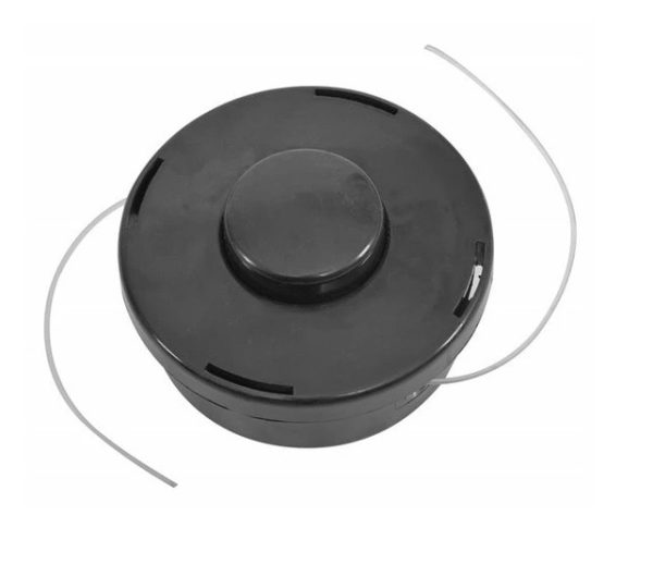 Hecht 000129 damilfej